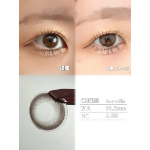 COLOR MAJORITY 1Day Fairy Ring カラーマジョリティー フェアリーリング